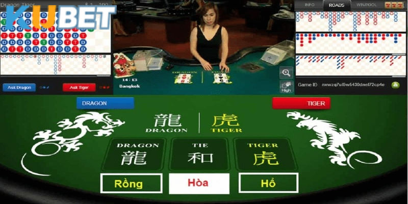 Nguyên nhân khiến rồng hổ Kubet ngày càng hot